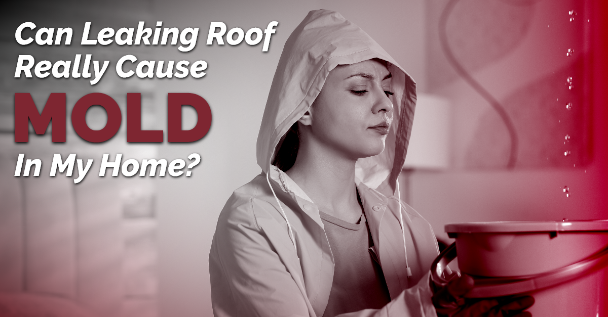 Can Leaking Roof Really Cause Mold In My Home?